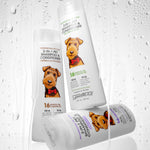 Image of bottles behind glass - Eco Chic PET Professional 2-in-1 Shampoo & Conditioner in Oatmeal Coconut, Lavender and Tea Tree