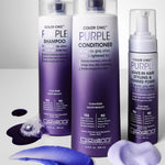 Giovanni Cosmetics' COLOR CHIC™ PURPLE CONDITIONER, shown with purple and blue swatches, is ideal for brightening blonde hair and enhancing silver tones.