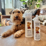 A brown and black dog sits on a couch next to two bottles of Giovanni Cosmetics PROFESSIONAL 2-IN-1 PET SHAMPOO & CONDITIONER, each labeled with cartoon dog faces. Sunlight and a plant are visible in the background.